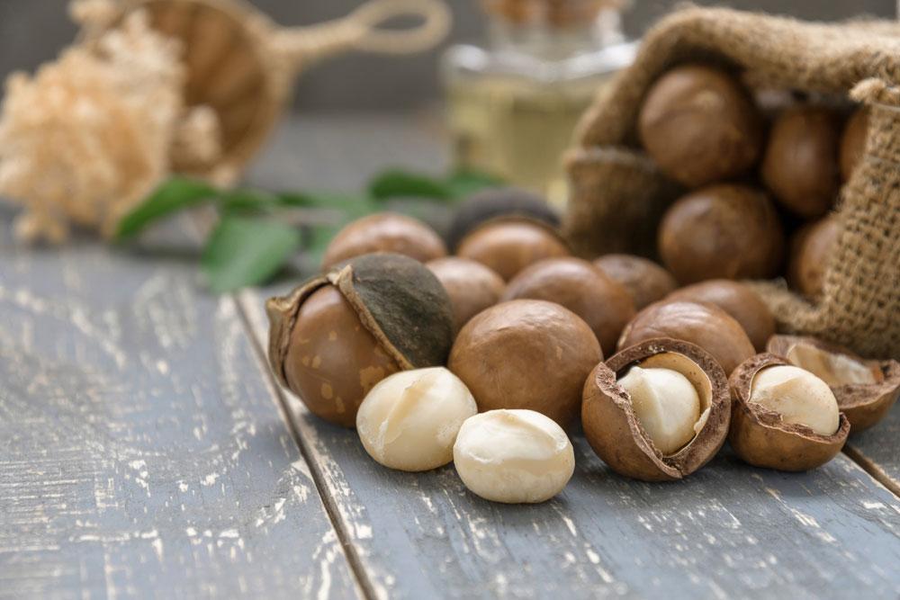 5 Health Benefits Of Macadamia Nuts That You Did Not Know