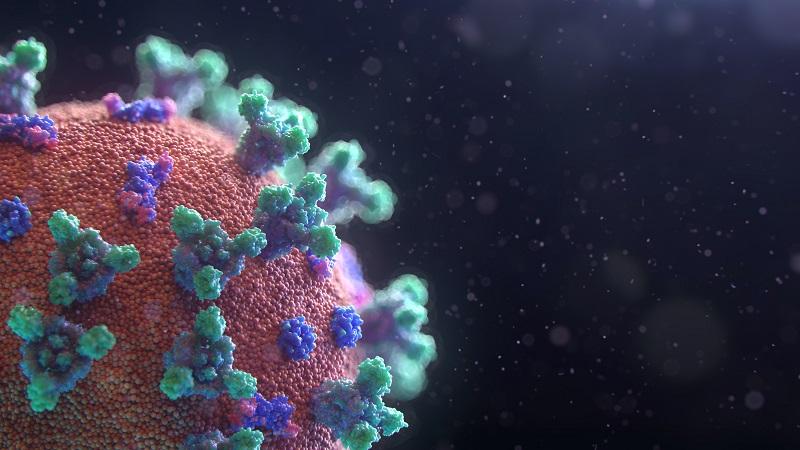 Creative Biostructure Provides a Comprehensive List of Exosome Analysis Services for Research Use
