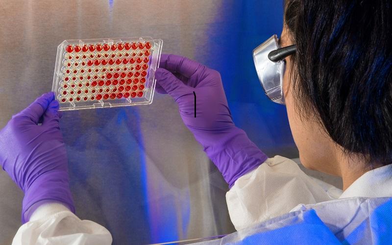 A Complete Guide for Polysaccharides Analytical Methods and Procedures