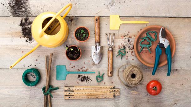 Gardening Tools Market Size Analytical Overview, Growth Factors, Trends and Forecast Report