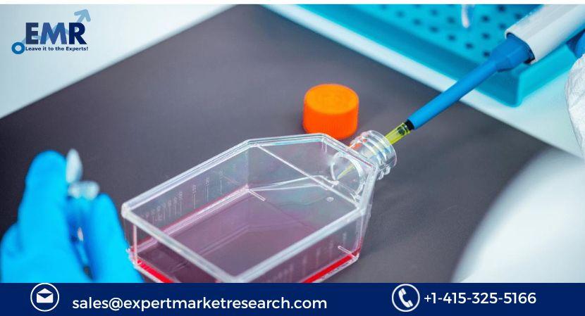 Serum Free Media Market Size, Share, Growth 2024-2032