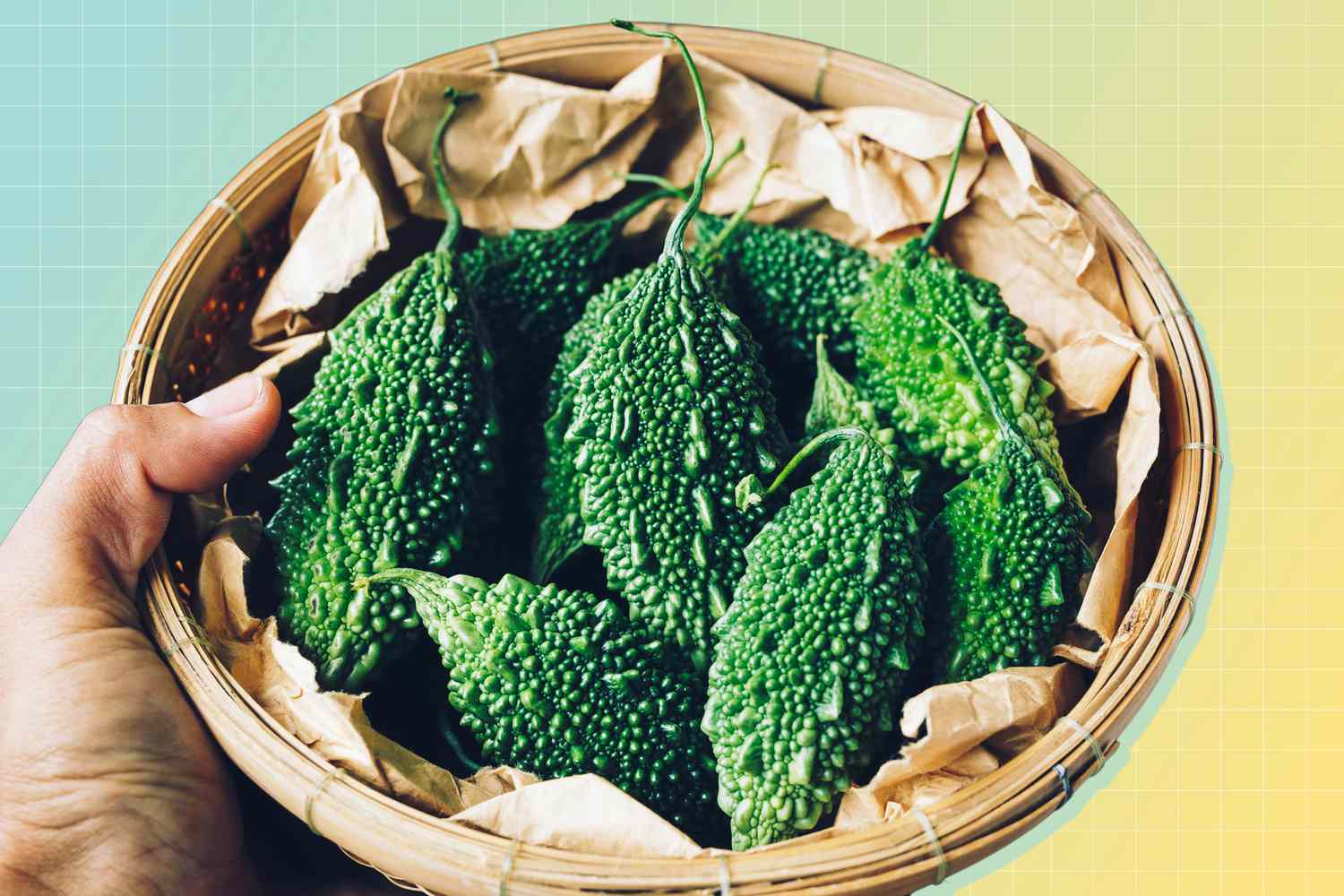 How Bitter Gourd Can Profit Your Well Being