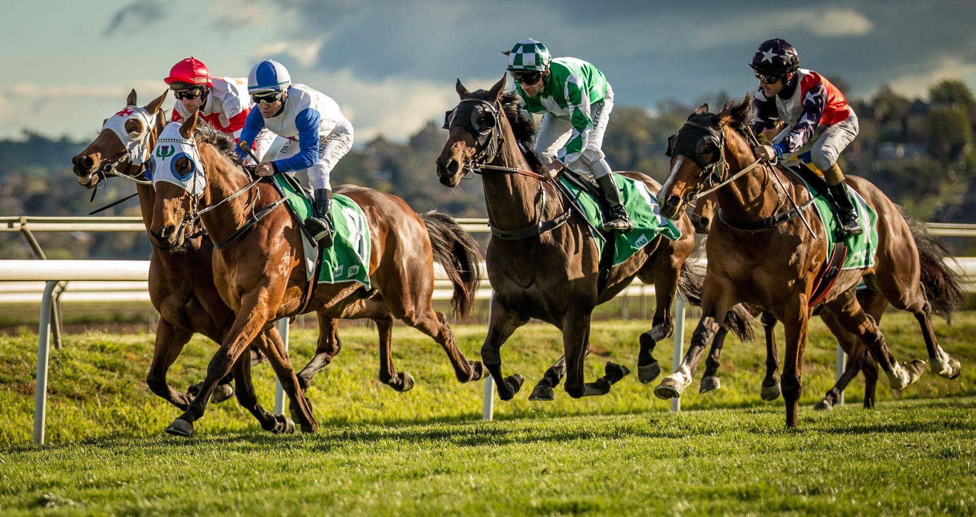 The Unbridled Spirit of Horse Racing: A Symphony of Speed, Elegance, and Endurance