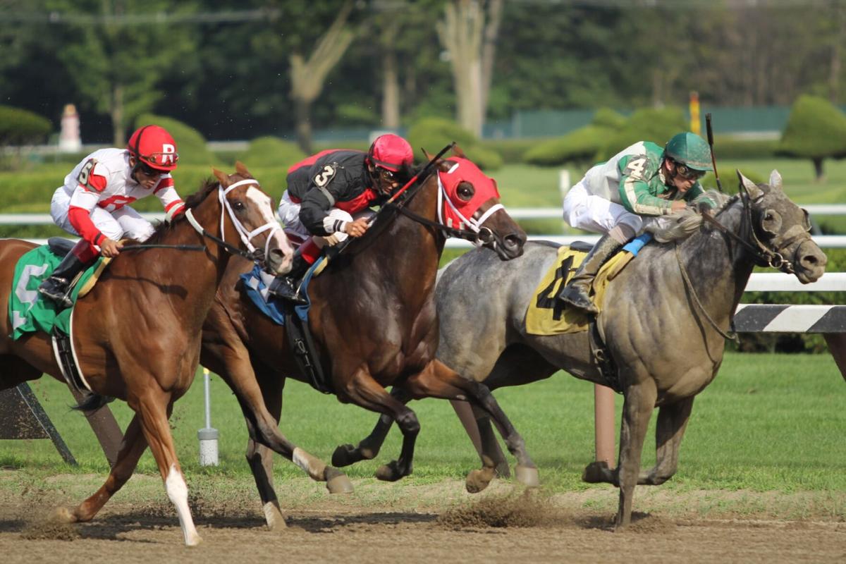 The Artistry of Horse Racing: A Ballet of Speed, Strategy, and Spectacle