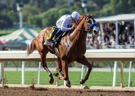 “Beyond the Finish Line: A Deep Dive into the World of Horse Racing”