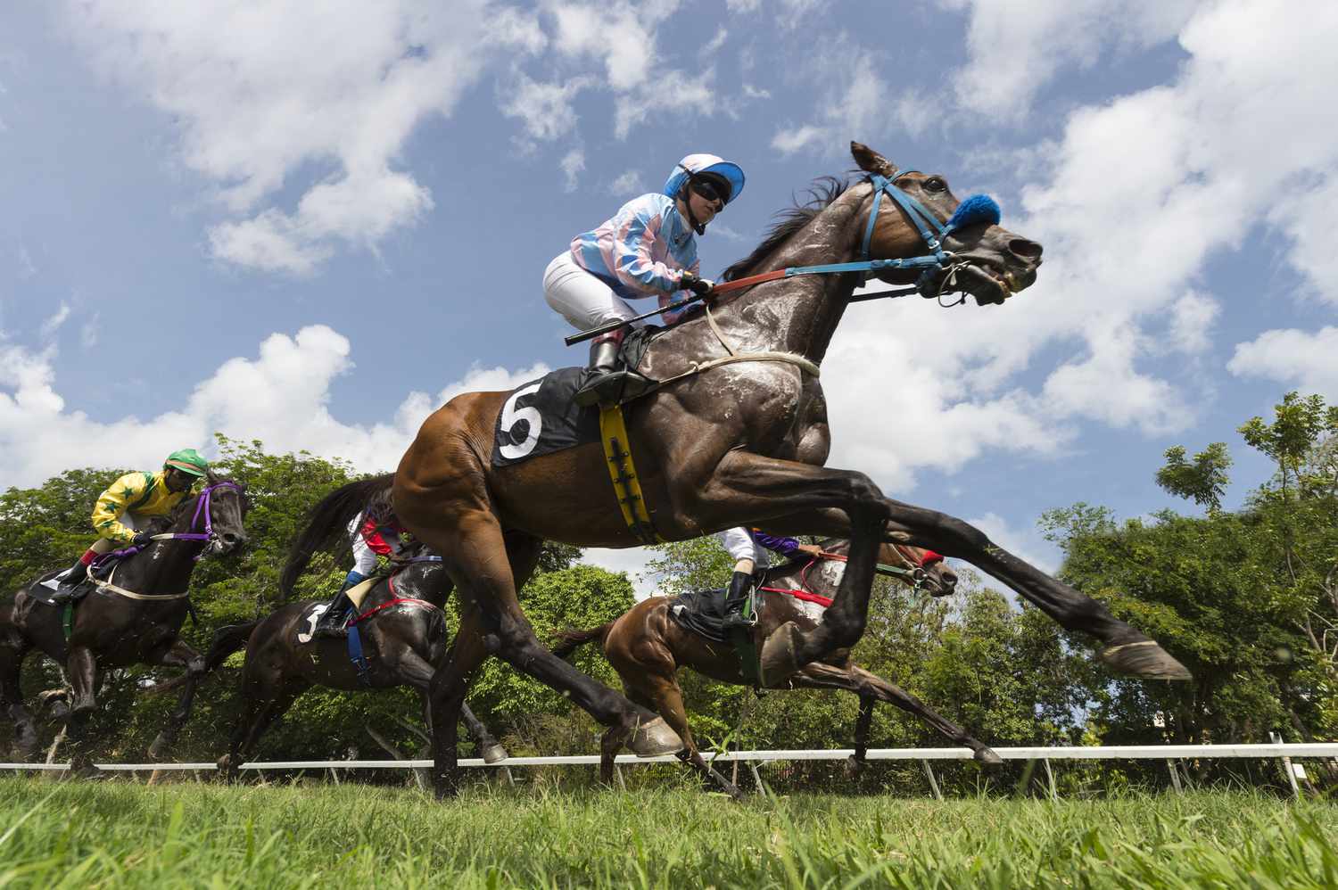 The Thrilling World of Horse Racing: A Symphony of Speed, Skill, and Spectacle