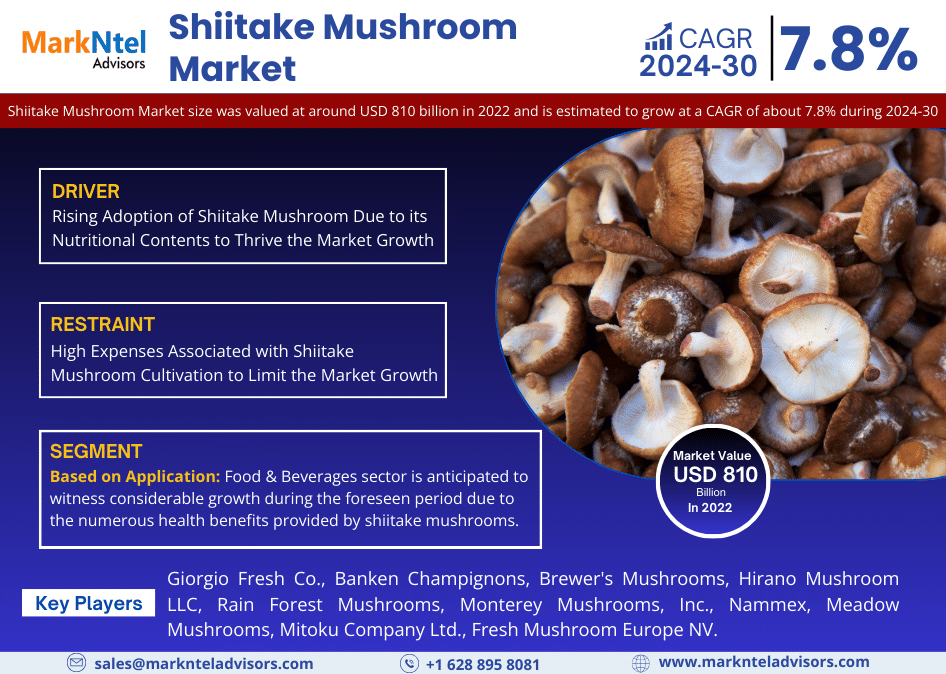 Key Insights into the Global Shiitake Mushroom Market (2024-30)