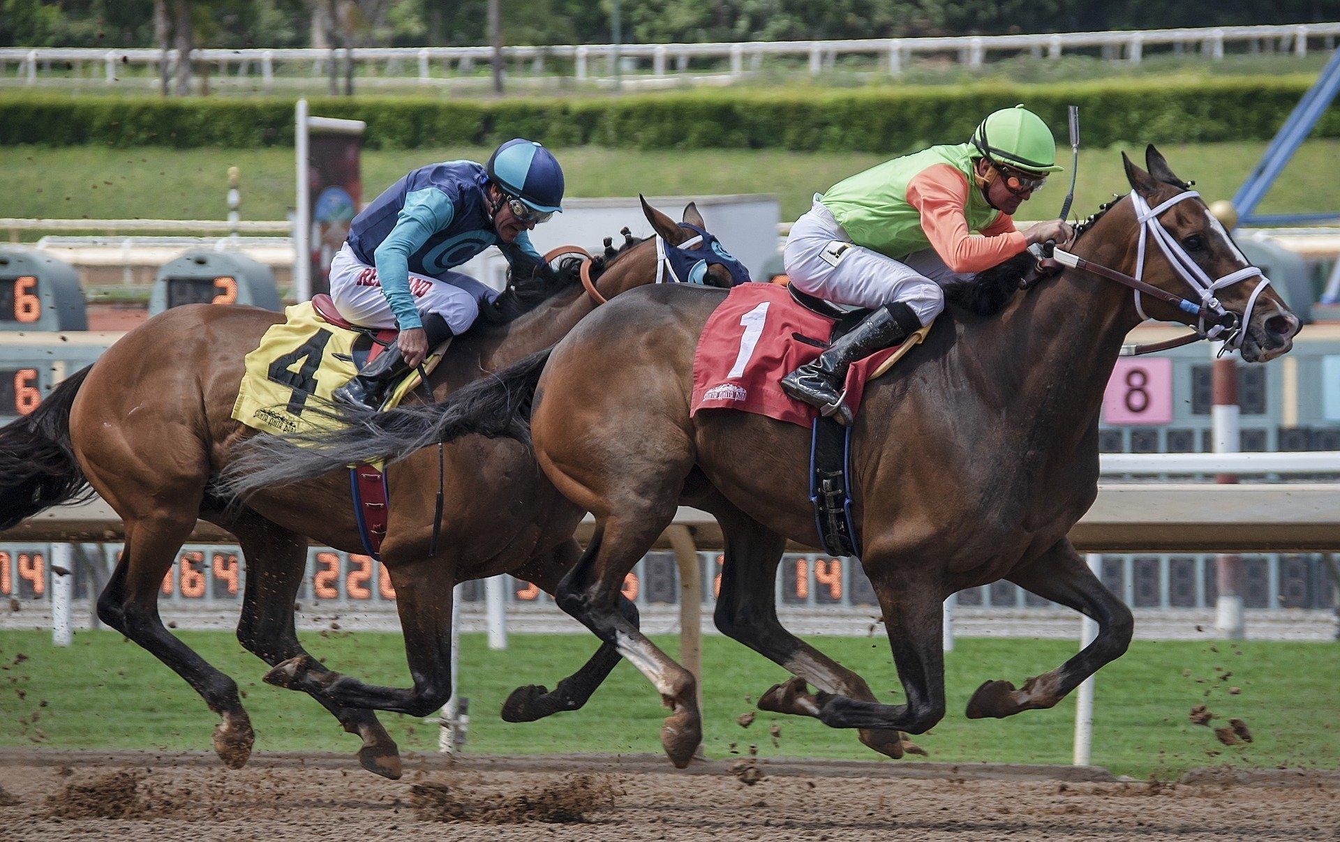 The Symphony of Thunder: Unveiling the Drama and Majesty of Horse Racing