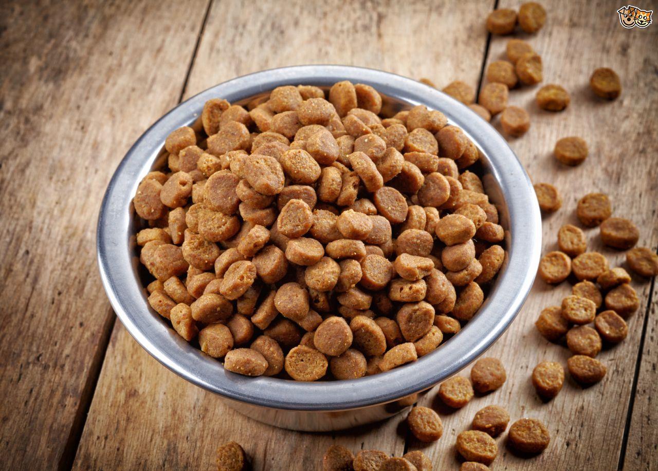 Pet Food Market Growth Analysis, Business Prospects, Trends and Opportunities by 2028