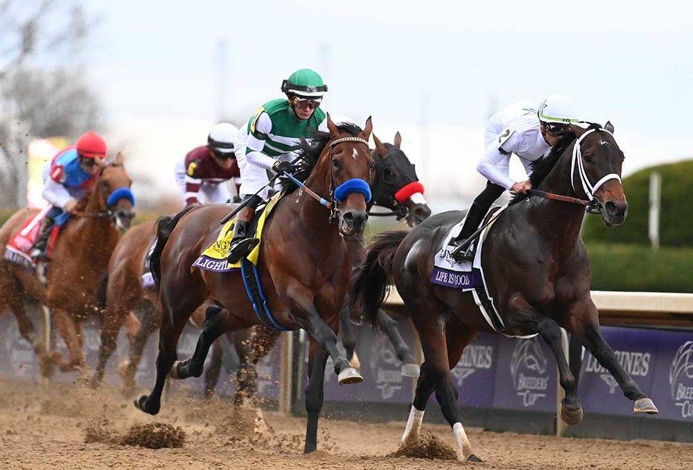 The Grace and Thunder: Exploring the Thrills of Horse Racing
