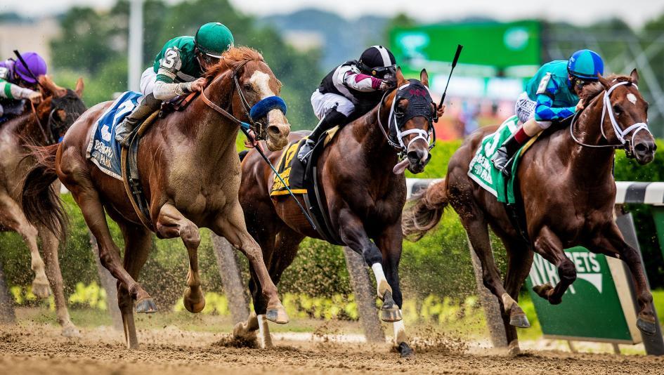 “Gallop to Glory: The Thrilling World of Horse Racing”