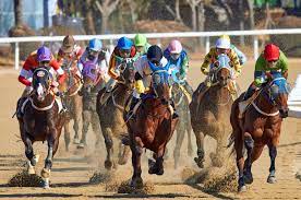 The Enchanting World of Horse Racing: A Symphony of Speed, Strategy, and Spectacle
