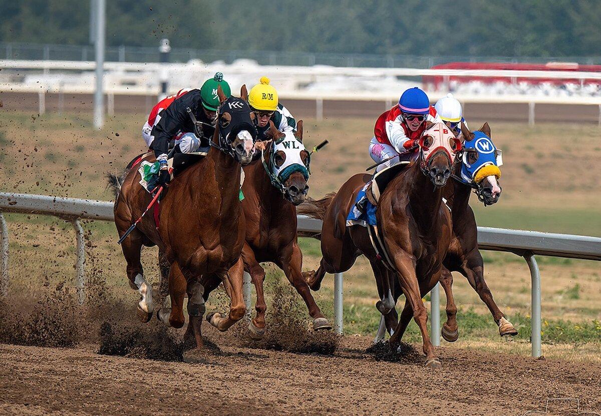 “The Grand Theater of Speed: Exploring the Enchanting World of Horse Racing”