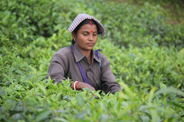 Exploring the Heaven of North East India- Guwahati